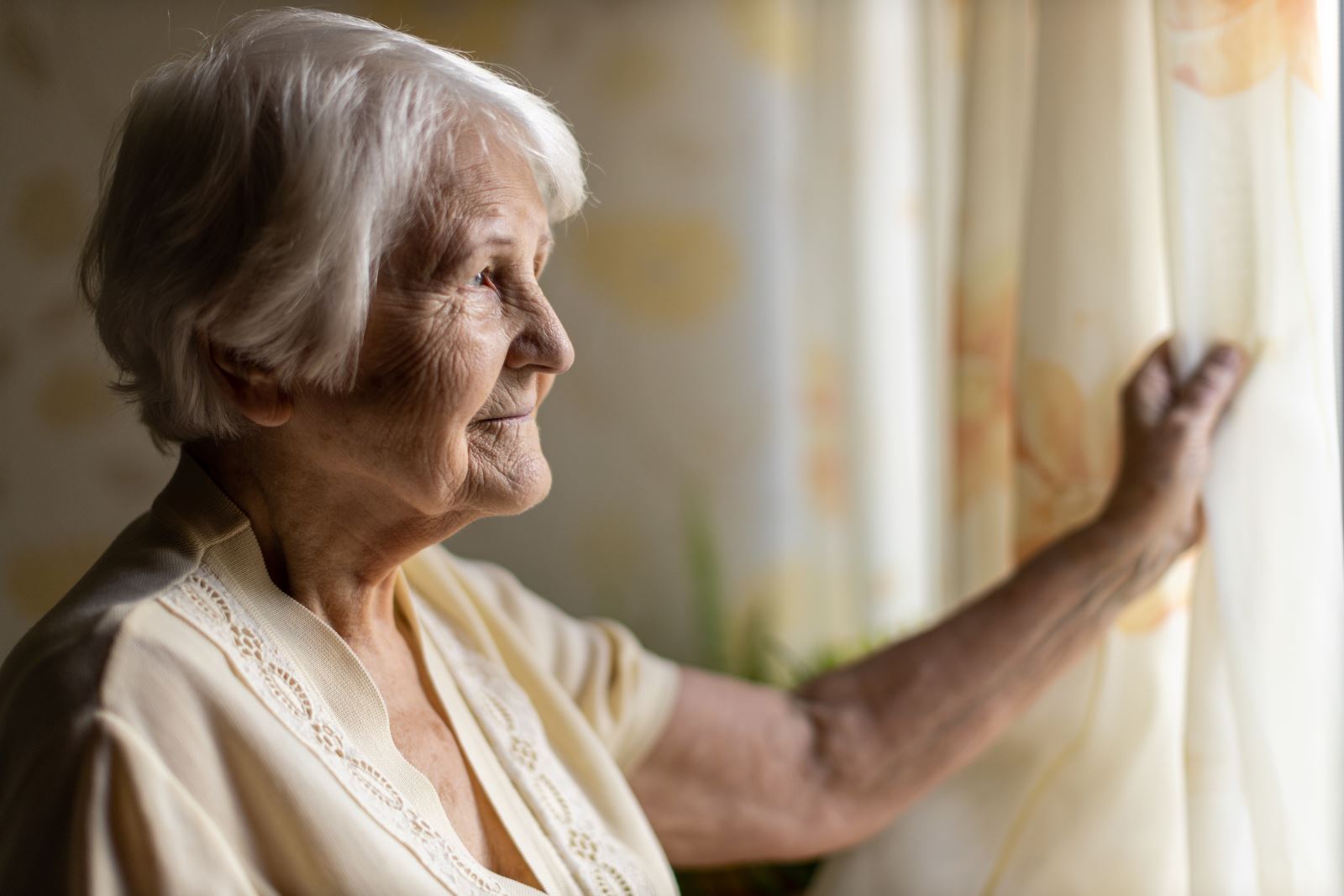 Covilhã | Parceria para combater o isolamento de idosos