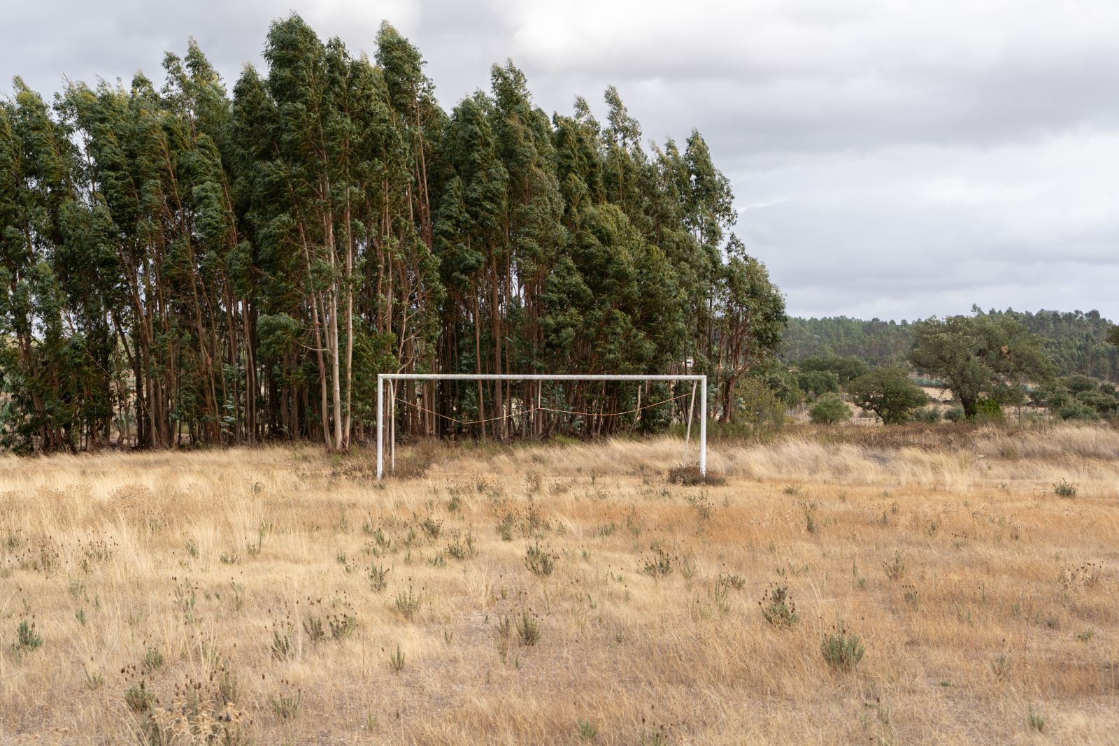 Interioridade | Despovoamento agrava desafios no Alto Alentejo 
