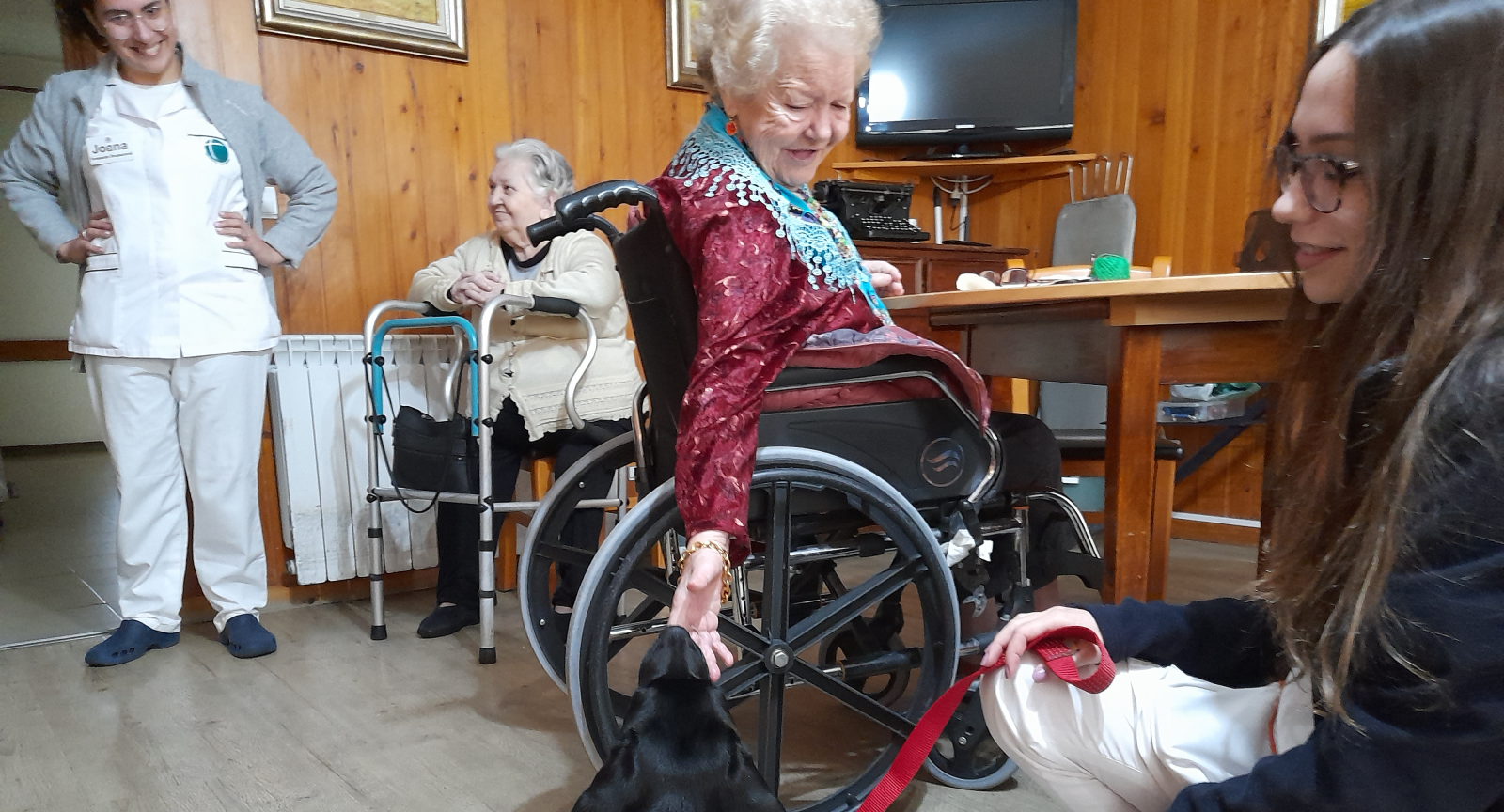 Arganil | Jovem cão-guia já está a trabalhar com idosos