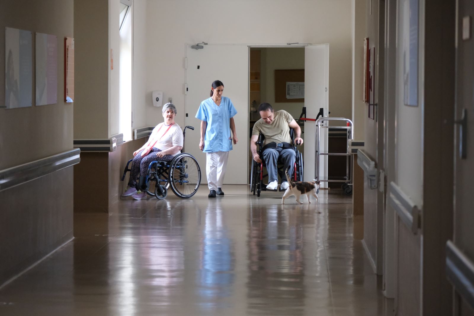 Deficiência | Casas onde se trabalha com o coração